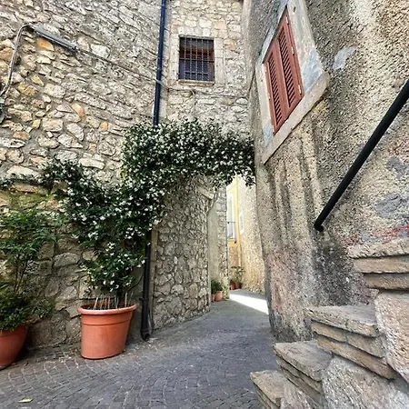 Il Castagno